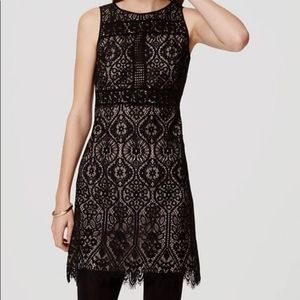 LOFT Black Lace Dress (Size 4P)